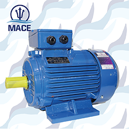 Prime Movers / Electric Motors / Foot Mounted Motors (B3)