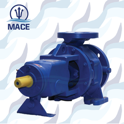 [40602005] DIN End Suction Pump: Model EA 40/13